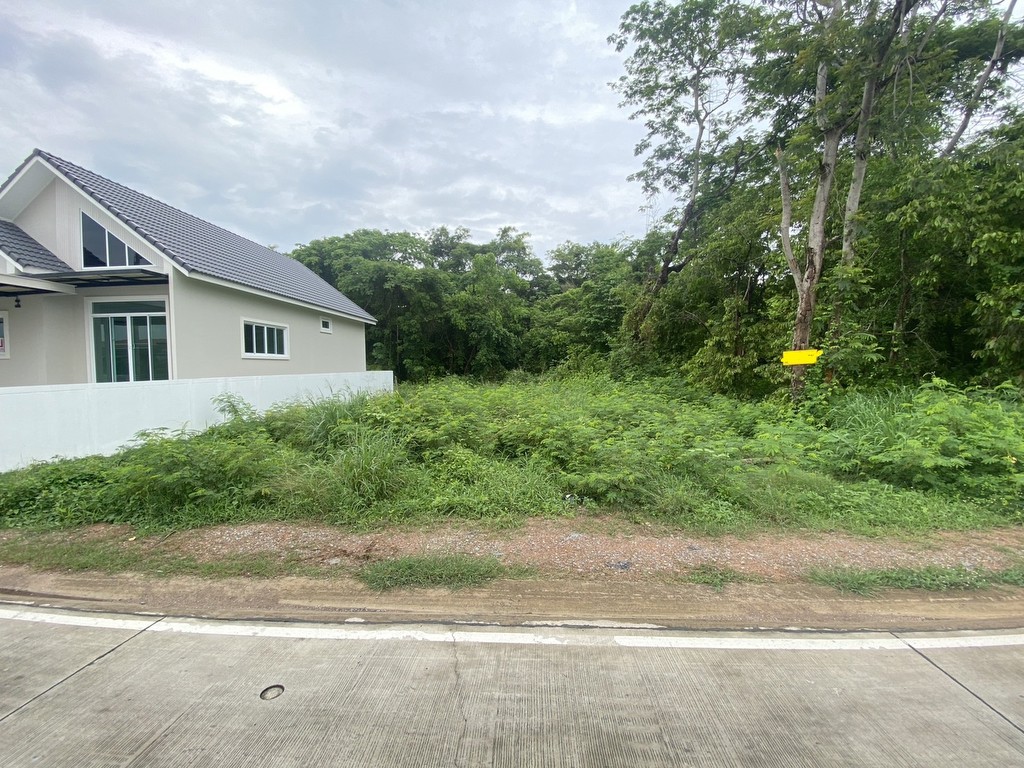 ขายที่ดินเปล่าซอยหลังวัดเขาไผ่ ติดถนน 2 ด้าน ต.เนินพระ อ.เมืองระยอง