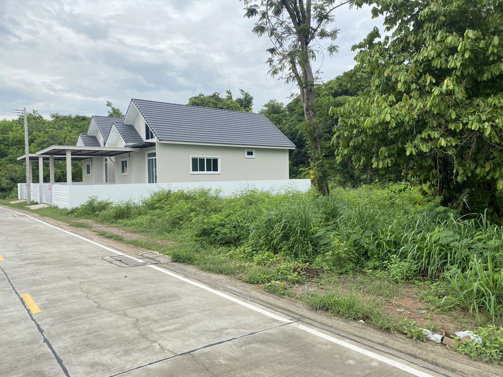 ขายที่ดินเปล่าซอยหลังวัดเขาไผ่ ติดถนน 2 ด้าน ต.เนินพระ อ.เมืองระยอง