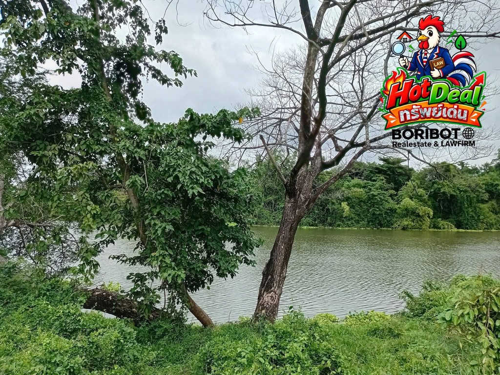 ขายที่ดินริมแม่น้ำป่าสัก อ.เสาไห้ จ.สระบุรี