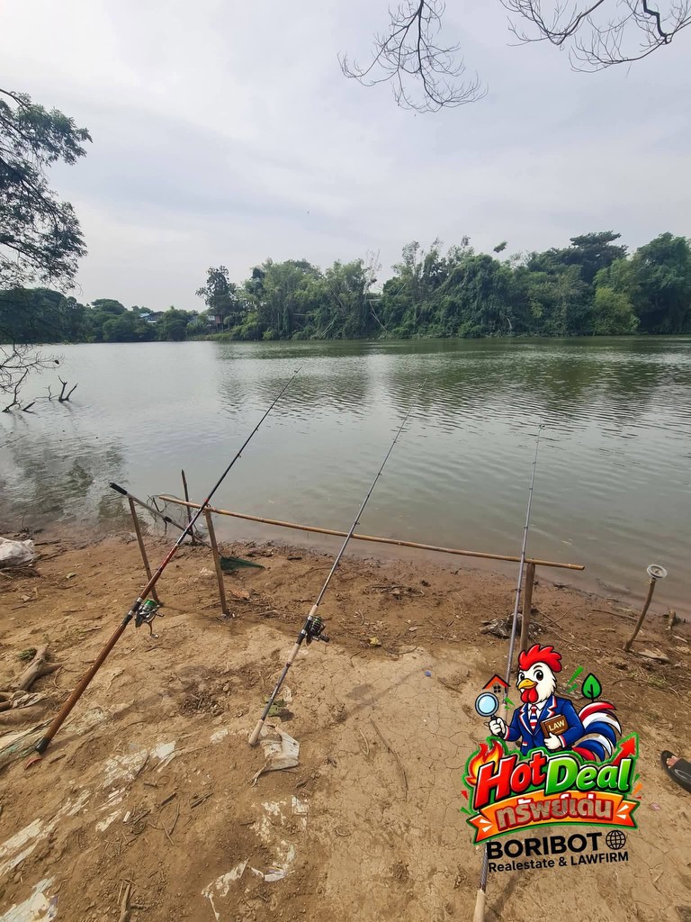 ขายที่ดินริมแม่น้ำป่าสัก อ.เสาไห้ จ.สระบุรี