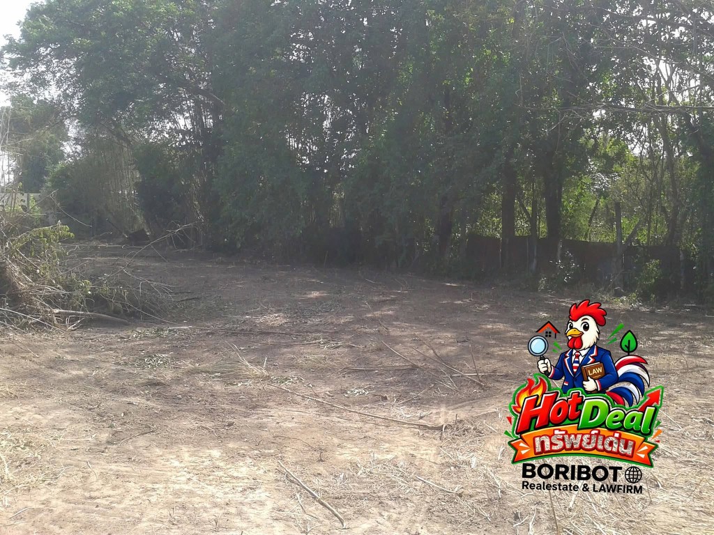 ขายที่ดินริมแม่น้ำป่าสัก อ.เสาไห้ จ.สระบุรี