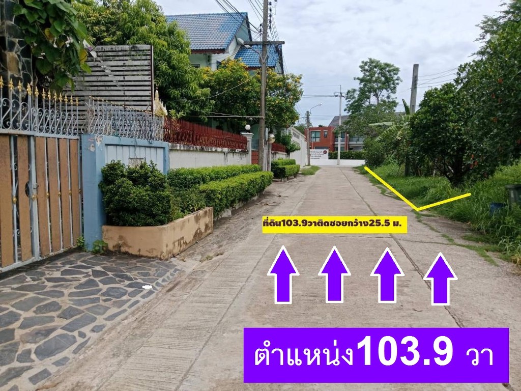 ขายที่ดินจัดสรร ถมแล้วถมสูงใน ม.ลานทอง ปากเกร็ด สวย 72 ตรวา SQW ราคาไม่แพง 2.79 ล้าน MB ด่วน ซ. 35/1
