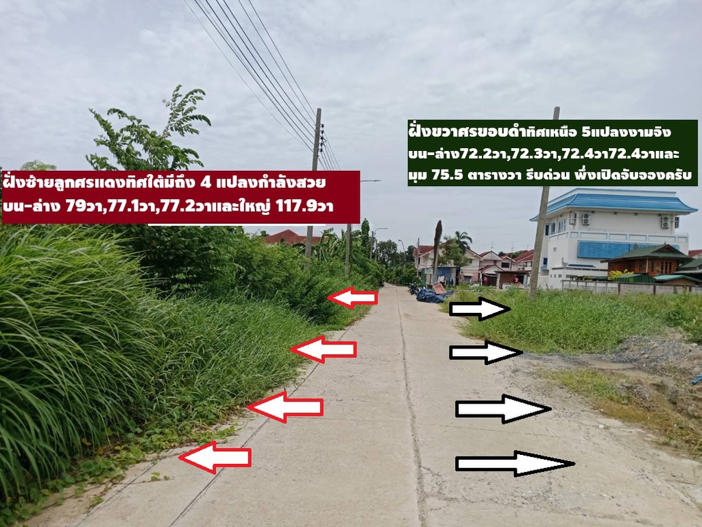 ขายที่ดินจัดสรร ถมแล้วถมสูงใน ม.ลานทอง ปากเกร็ด สวย 72 ตรวา SQW ราคาไม่แพง 2.79 ล้าน MB ด่วน ซ. 35/1