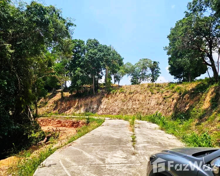 ขายที่ดินทำเลทอง 21.5 ไร่ ในภูเก็ต กะทู้ ป่าตอง Prime Land for Sale 21.5 Rai in Phuket Kathu Distric