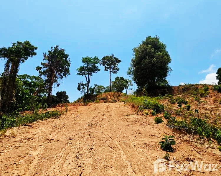 ขายที่ดินทำเลทอง 21.5 ไร่ ในภูเก็ต กะทู้ ป่าตอง Prime Land for Sale 21.5 Rai in Phuket Kathu Distric