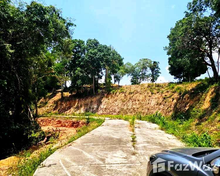 ขายที่ดินภูเก็ตทำที่พักอาศัยหรู เช่าขาย หรือบ้านแพงภูเก็ต กะทู้ ป่าตอง Prime Land for Sale 21.5 Rai