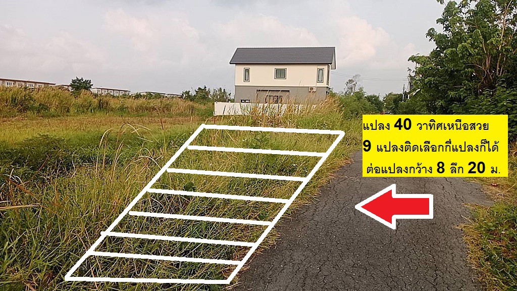 ขายที่ดินจัดสรรแปลงจัดสรรพิเศษ 40 ตารางวา ไม่ถึงล้าน มี 9-10แปลงปัจจุบัน ซอย 3 ของซอยตาลเดี่ยว สวย ร