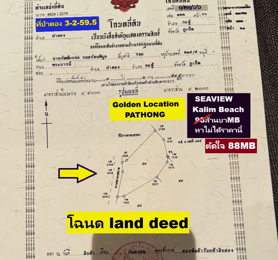 ขายที่ดิน 3-2-59.5 ไร่ RAI ซีวิว SEAVIEW ป่าตอง ภูเก็ต แปลง GOLDEN LAND เนินเขาทำเลดีเยี่ยม วิวอลังก
