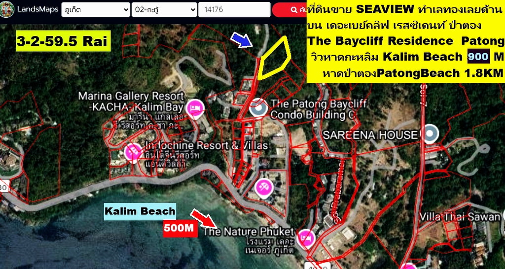 ขายที่ดิน 3-2-59.5 ไร่ RAI ซีวิว SEAVIEW ป่าตอง ภูเก็ต แปลง GOLDEN LAND เนินเขาทำเลดีเยี่ยม วิวอลังก