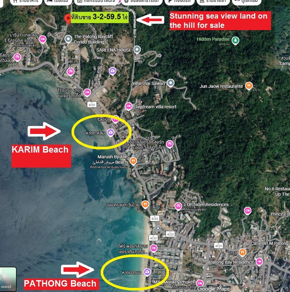 ขายที่ดิน 3-2-59.5 ไร่ RAI ซีวิว SEAVIEW เจ้าของตัดใจขาย ป่าตอง ภูเก็ตPhuket Patong เนินเขา
