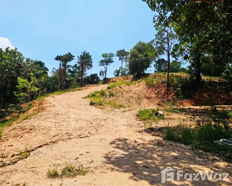 ขายที่ดินภูเก็ตทำเลเด็ดทำบ้านขายสบายๆ 21-1-35.7 ไร่ แปลงสวย กะทู้-ป่าตอง เส้นข้างหมู่บ้านเดอะแพลนท์