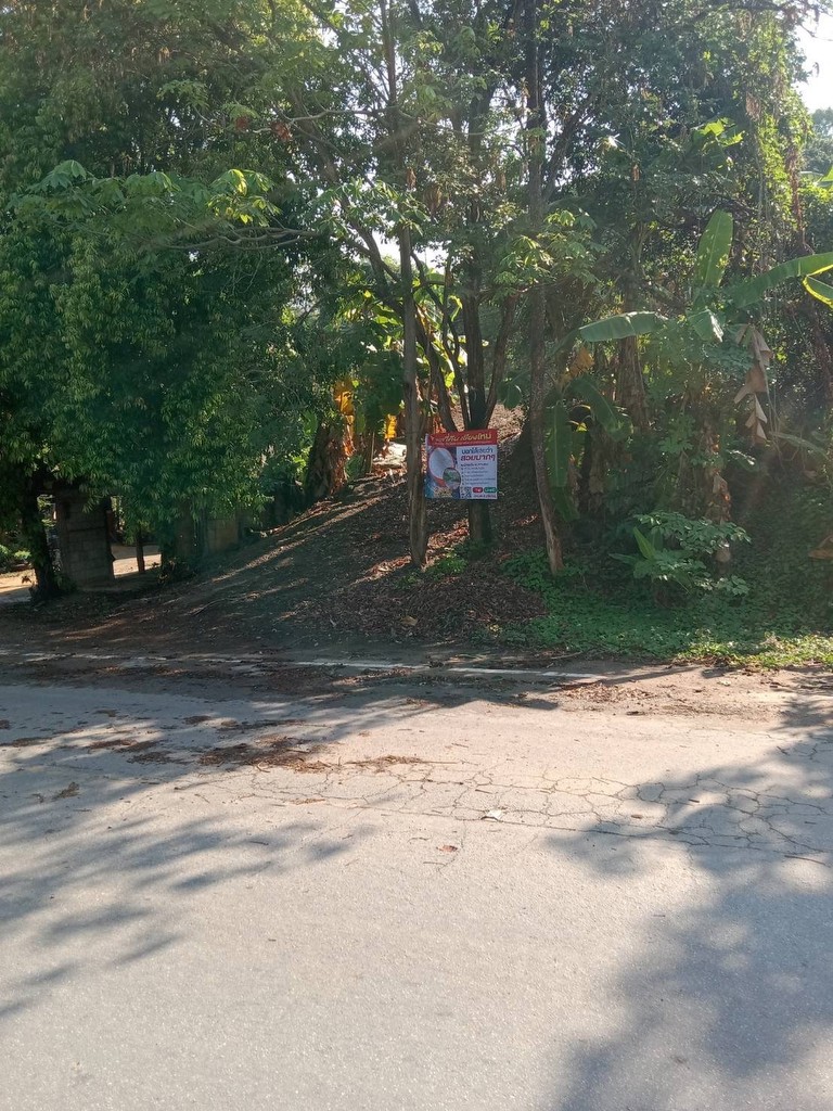 ขายที่ดินเชียงใหม่