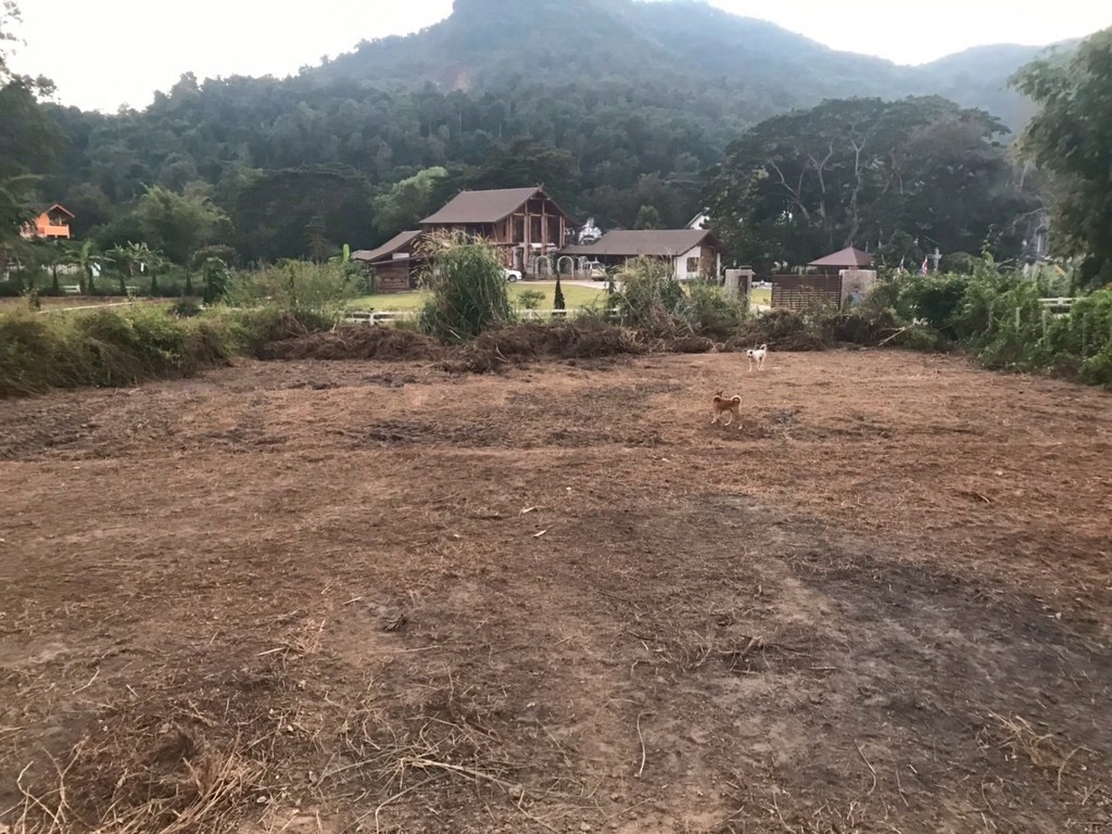ขายที่ดินเชียงใหม่
