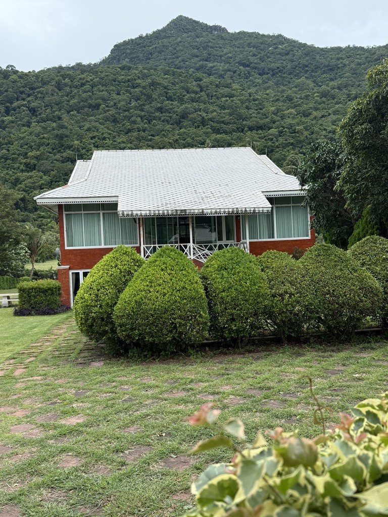 บ้านพญาเย็น เนื้อที่ 2ไร่ 3 งาน 5 ตรว.ขายเพียง 18 ล้าน