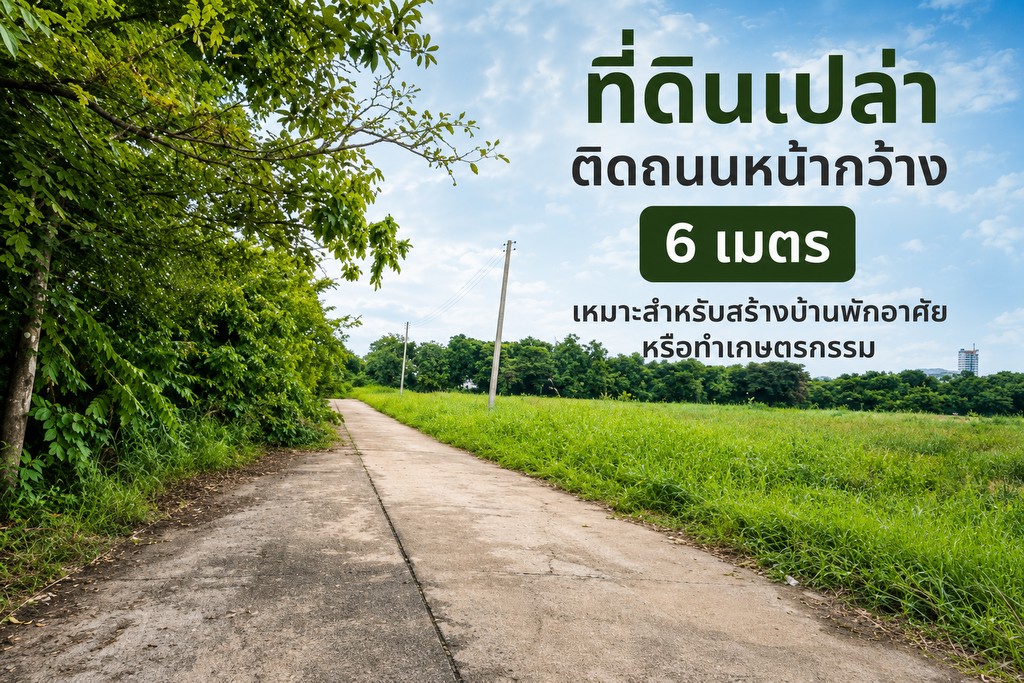 ขายที่ดิน คลองหลวง (คลองสาม) ปทุมธานี ใกล้ถนนใหญ่ ทางเข้าถนนคอนกรีต HRE00414