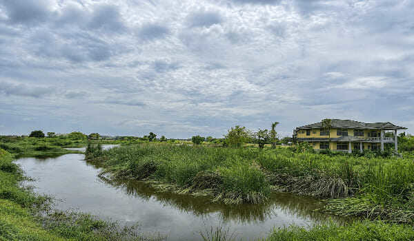ขายที่ดินผืนใหญ่ 29 ไร่ ติดคลองและถนนใหญ่ บางน้ำเปรี้ยว ฉะเชิงเทรา ใกล้สถานีรถไฟคลองสิบเก้า HRE00814