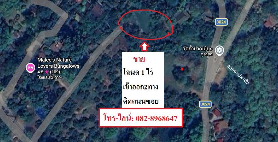 ++ขายที่ดินราคาถูก++ เหมาะทำบ้านพัก รีสอร์ท ใกล้วัดถ้ำผาปล่อง ถ้ำปากเปียง ถ้ำเชียงดาว เชียงใหม่