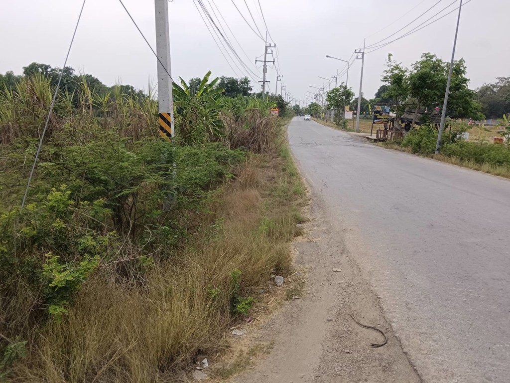 ขายที่ดินเปล่าในอำเภอบางน้ำเปรี้ยว จังหวัดฉะเชิงเทรา
