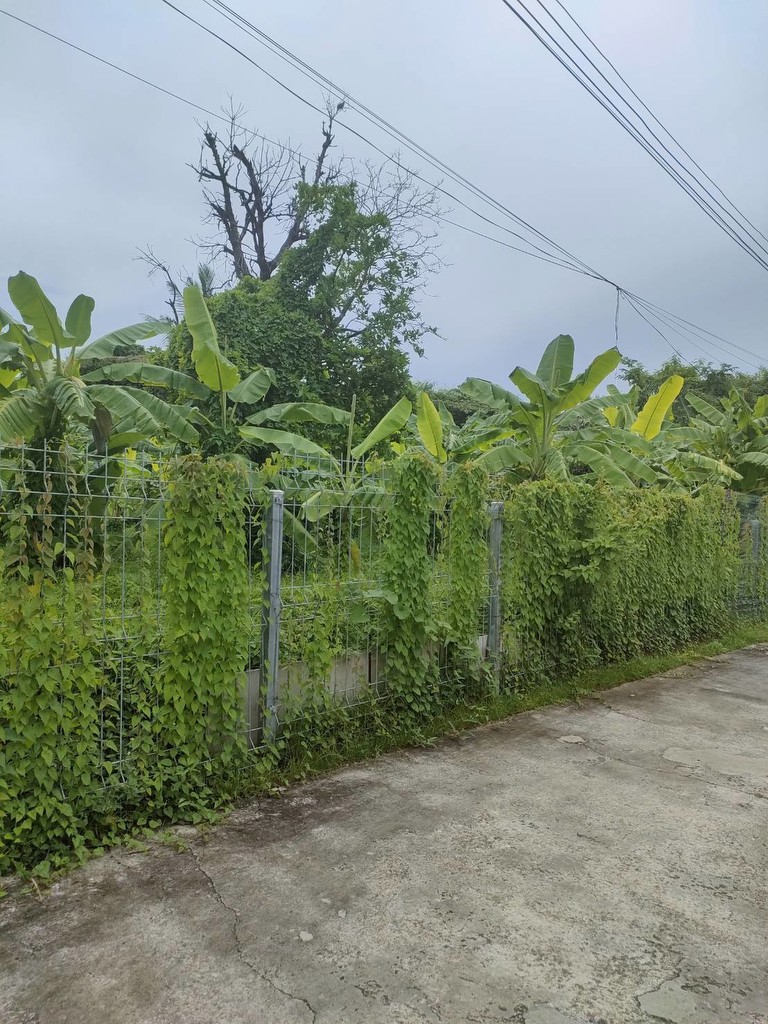 ขายที่ดินเปล่าถมแล้วในถนนลาดพร้าวซอย 48 กรุงเทพมหานคร