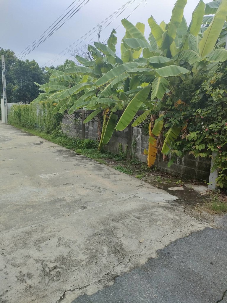 ขายที่ดินเปล่าถมแล้วในถนนลาดพร้าวซอย 48 กรุงเทพมหานคร