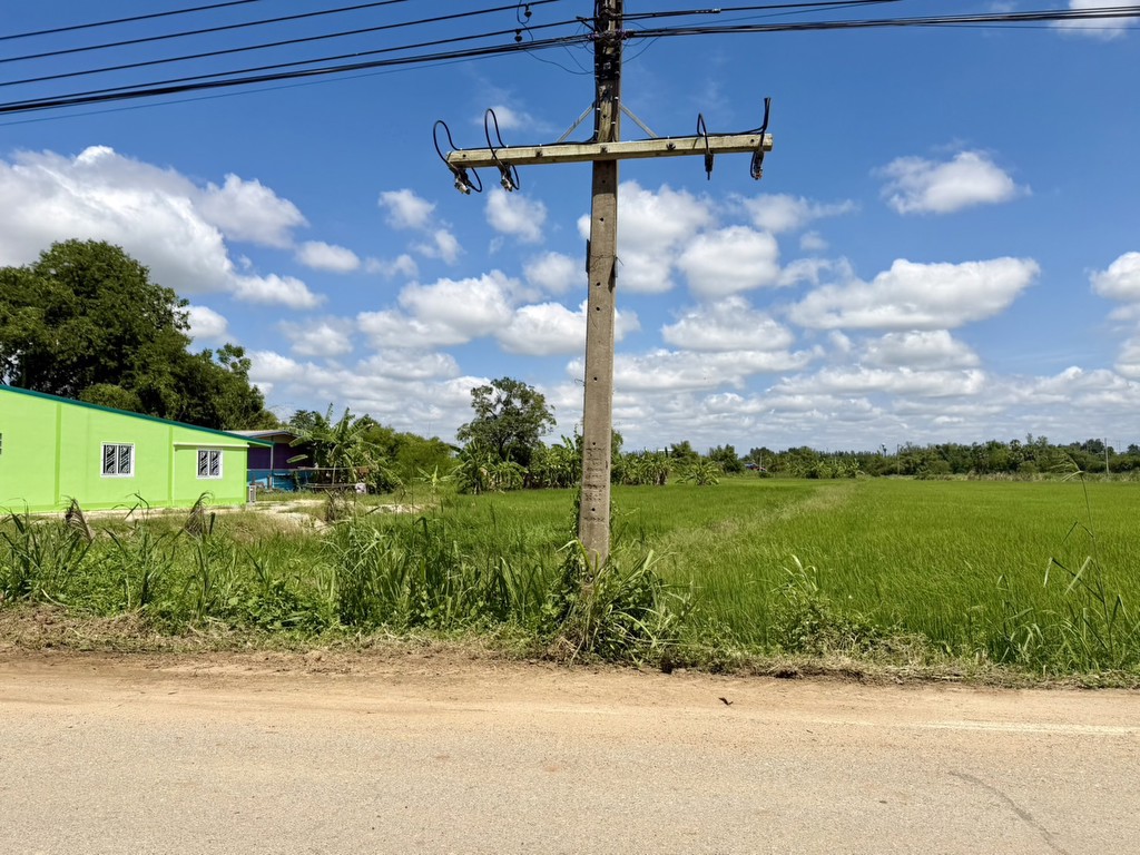 🚨 ขายด่วน! ที่ดินหลุดจำนอง 362 ตร.ว. ชลบุรี 📍 อ.เกาะจันทร์ จ.ชลบุรี ใกล้ถนน 331 เพียง 300 เมตร