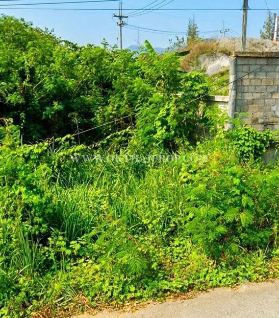 ที่ดินหัวหิน ติดถนนสาย 2052 ใกล้วัดห้วยมงคล ต.หนองพลับ อ.หัวหิน จ.ประจวบคีรีขันธ์