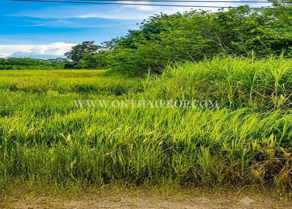 ที่ดินหัวหิน ติดถนนสาย 2052 ใกล้วัดห้วยมงคล ต.หนองพลับ อ.หัวหิน จ.ประจวบคีรีขันธ์