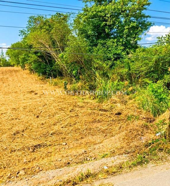 ที่ดินหัวหิน ติดถนนสาย 2052 ใกล้วัดห้วยมงคล ต.หนองพลับ อ.หัวหิน จ.ประจวบคีรีขันธ์