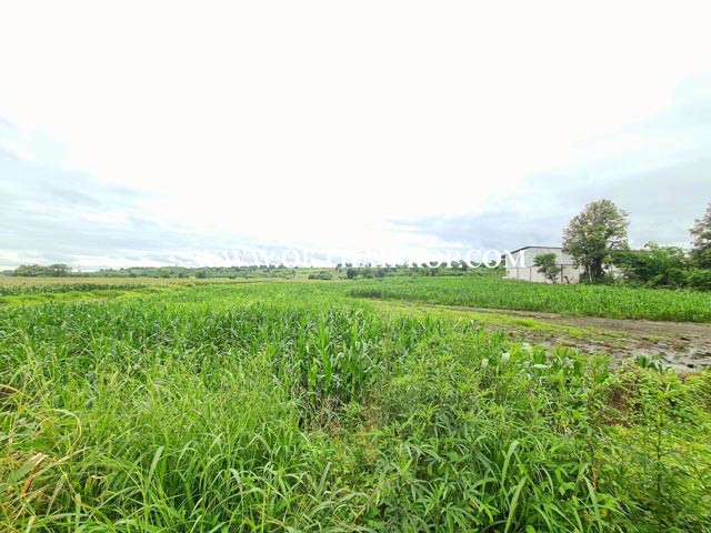ที่ดิน ใกล้โรงเรียนซับบอนวิทยาคม ทางหลวงหมายเลข 225 ต.กันจุ อ.บึงสามพัน จ.เพชรบูรณ์