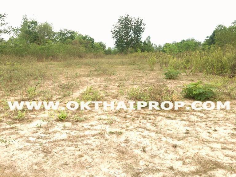 ที่ดินจัดสรรถมแล้ว พุหวายฮิลล์รีสอร์ท อ.ชะอำ จ.เพชรบุรี