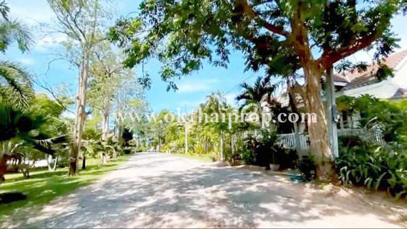 ที่ดินจัดสรรถมแล้ว พุหวายฮิลล์รีสอร์ท อ.ชะอำ จ.เพชรบุรี