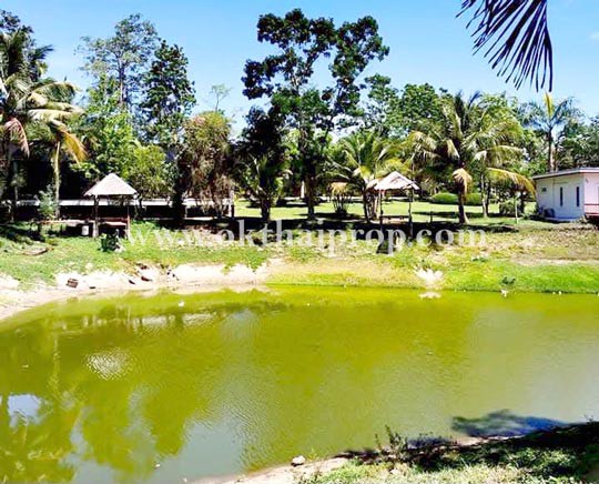 ที่ดินจัดสรรถมแล้ว พุหวายฮิลล์รีสอร์ท อ.ชะอำ จ.เพชรบุรี