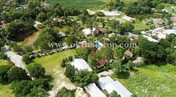 ที่ดินจัดสรรถมแล้ว พุหวายฮิลล์รีสอร์ท อ.ชะอำ จ.เพชรบุรี