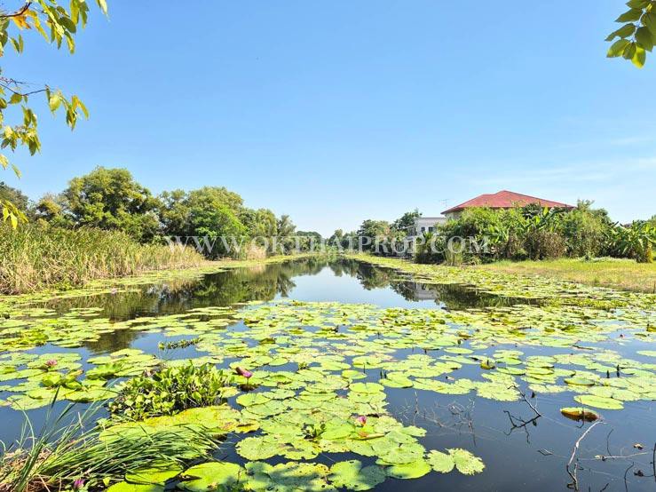 ที่ดิน หมู่บ้านสวนเอก เลคปาร์ค ลําลูกกา ปทุมธานี