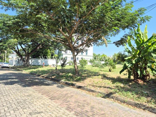 ที่ดิน หมู่บ้านสวนเอก เลคปาร์ค ลําลูกกา ปทุมธานี