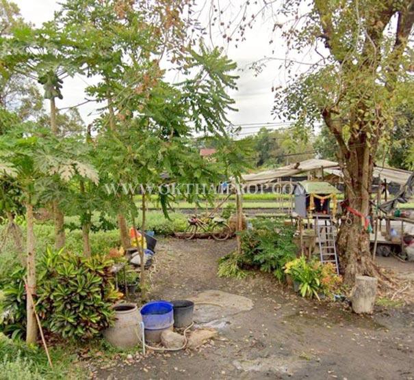 ที่ดิน คลอง14 ถนนรังสิต-นครนายก ใกล้ มศว. อ.องครักษ์ จ.นครนายก