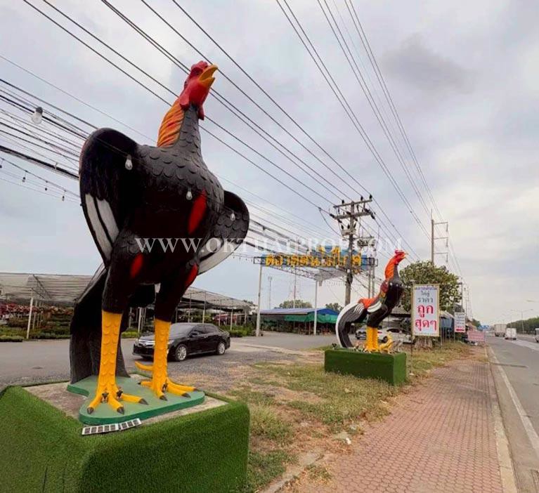 ที่ดิน คลอง14 ถนนรังสิต-นครนายก ใกล้ มศว. อ.องครักษ์ จ.นครนายก