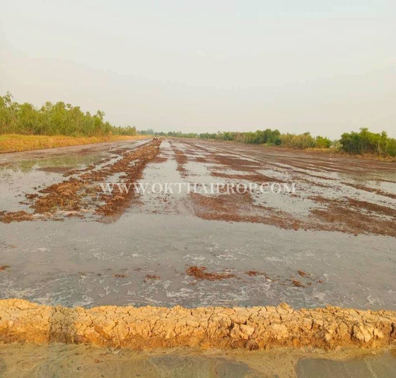 ที่ดิน คลอง14 ถนนรังสิต-นครนายก ใกล้ มศว. อ.องครักษ์ จ.นครนายก