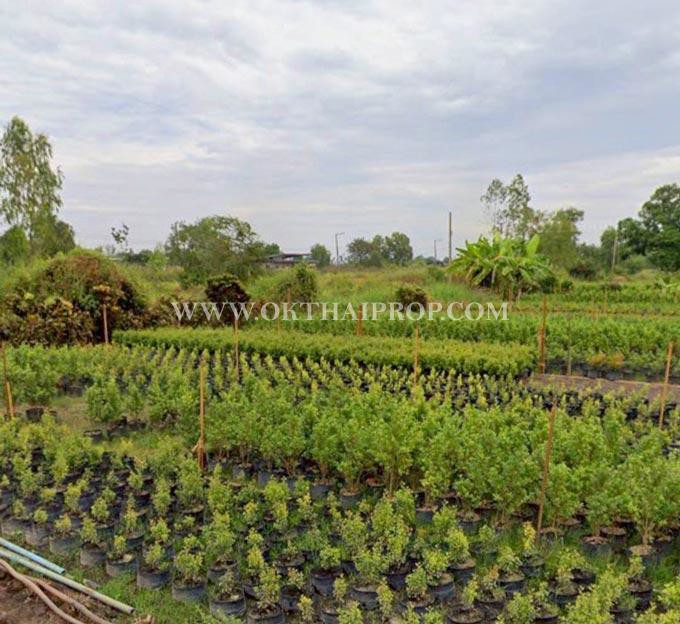 ที่ดิน คลอง14 ถนนรังสิต-นครนายก ใกล้ มศว. อ.องครักษ์ จ.นครนายก