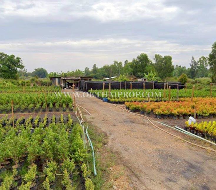 ที่ดิน คลอง14 ถนนรังสิต-นครนายก ใกล้ มศว. อ.องครักษ์ จ.นครนายก