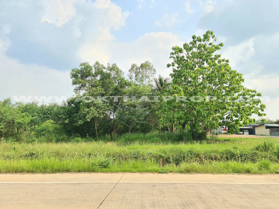 ที่ดินติดถนน ถ.เฉลิมพระเกียรติ ร.9 อ.หนองใหญ่ จ.ชลบุรี