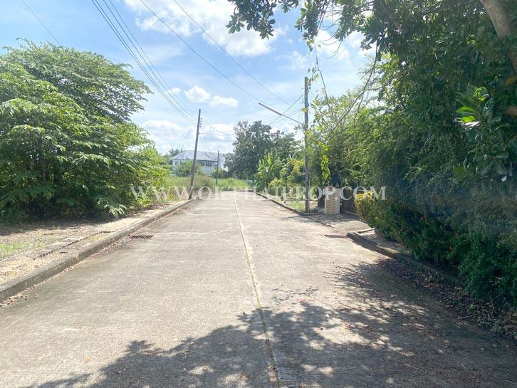 ที่ดิน หมู่บ้านกฤษดานคร25 ถนนประชาร่วมใจ คลองสามวา