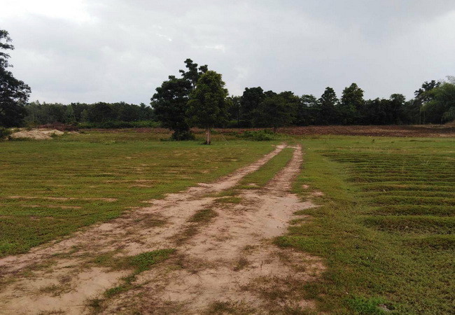 ขายที่ดิน ตำบลตลุกกลางทุ่ง อำเภอเมือง ตาก ใกล้สถานีขนส่งจังหวัดตาก