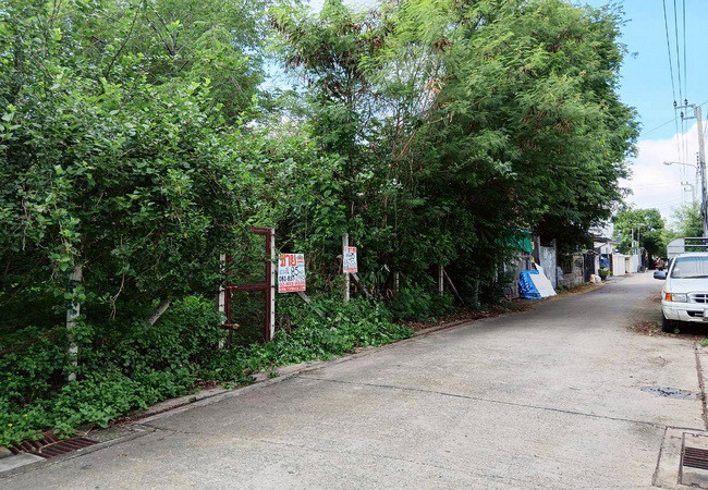 ขายที่ดิน ซอยมัยลาภ(ประเสริฐมนูกิจ 29) ลาดพร้าว กรุงเทพมหานคร เนื้อที่ 85 ตร.ว.