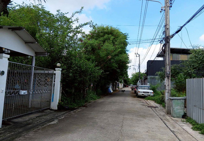 ขายที่ดิน ซอยมัยลาภ(ประเสริฐมนูกิจ 29) ลาดพร้าว กรุงเทพมหานคร เนื้อที่ 85 ตร.ว.