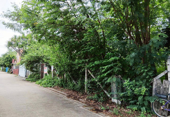 ขายที่ดิน ซอยมัยลาภ(ประเสริฐมนูกิจ 29) ลาดพร้าว กรุงเทพมหานคร เนื้อที่ 85 ตร.ว.