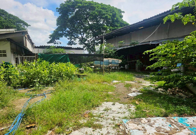 ขายที่ดิน ซอยสุวินทวงศ์ 28 เขตมีนบุรี กรุงเทพมหานคร เนื้อที่ 145 ตร.ว. พร้อมสิ่งปลูกสร้าง