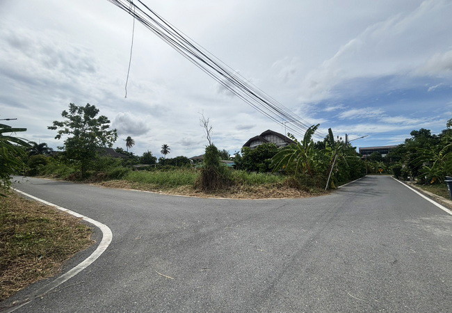 ขายที่ดิน ซอยสุขาภิบาล 10 สามพราน นครปฐม เนื้อที่ 89 ตร.ว. แปลงมุม