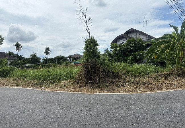 ขายที่ดิน ซอยสุขาภิบาล 10 สามพราน นครปฐม เนื้อที่ 89 ตร.ว. แปลงมุม