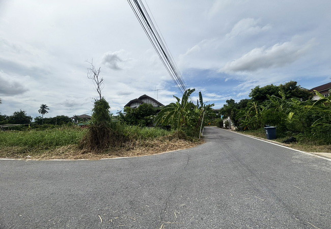 ขายที่ดิน ซอยสุขาภิบาล 10 สามพราน นครปฐม เนื้อที่ 89 ตร.ว. แปลงมุม